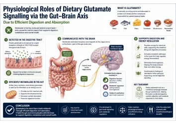 Physiological Roles of Dietary Glutamate Signalling via the Gut–Brain Axis Due to Efficient Digestion and Absorption